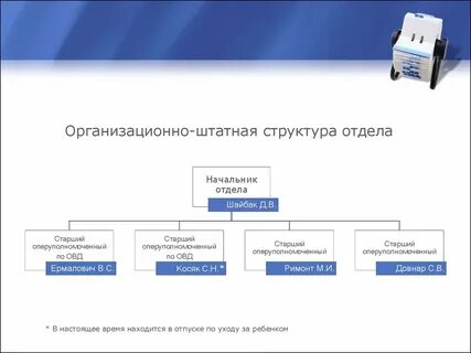 Организационно штатная структура должностей