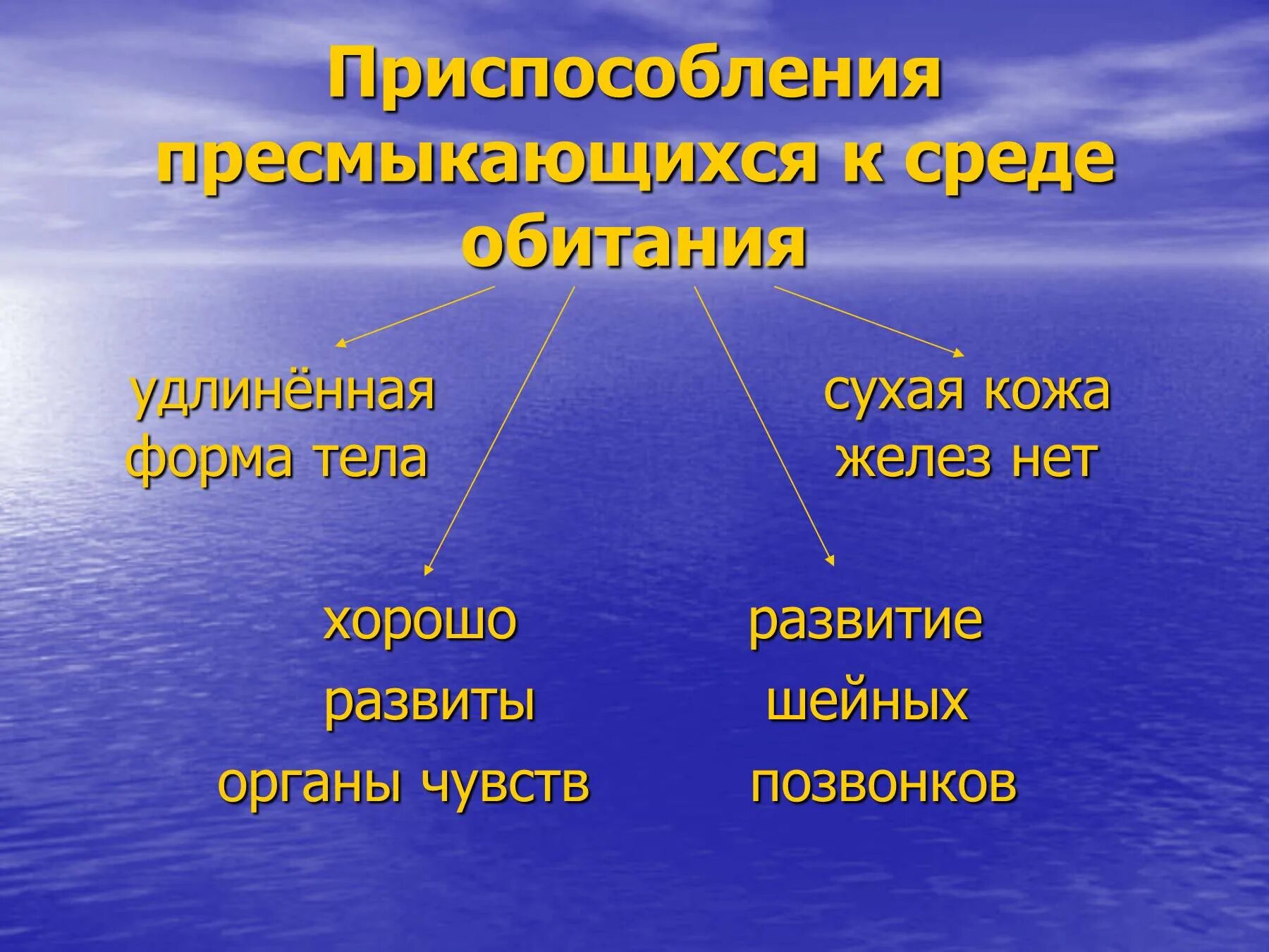 Приспособление к среде обитания пресмыкающихся