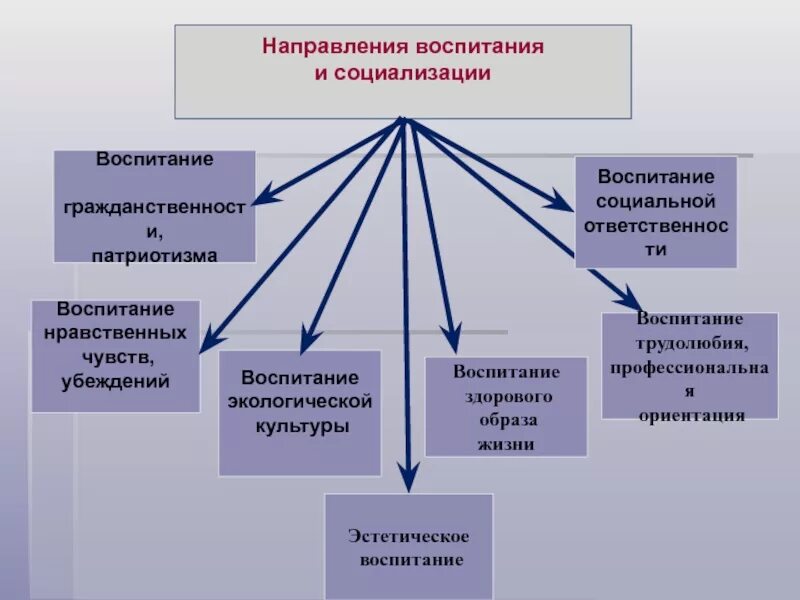 Направления воспитания в современной школе. Основные направления воспитания. намреления воспитания. направления воспитания и социализации. направления работы по социализации детей.