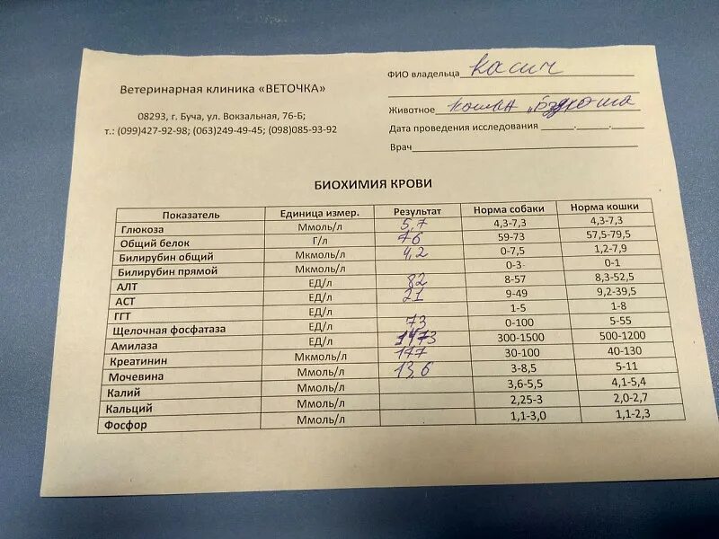 Диагноз по анализу крови. Анализы при сахарном диабете. Сахарный диабет анализ крови. Анализы для выявления диабета. Какие анализы сдают на сахарный диабет.