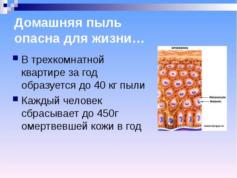 Чем опасна пыль содержащаяся в воздухе. Влияние домашней пыли на здоровье человека. чем опасна пыль. омертвевшие клетки кожи являются основным компонентом домашней пыли. как пыль влияет на здоровье человека.