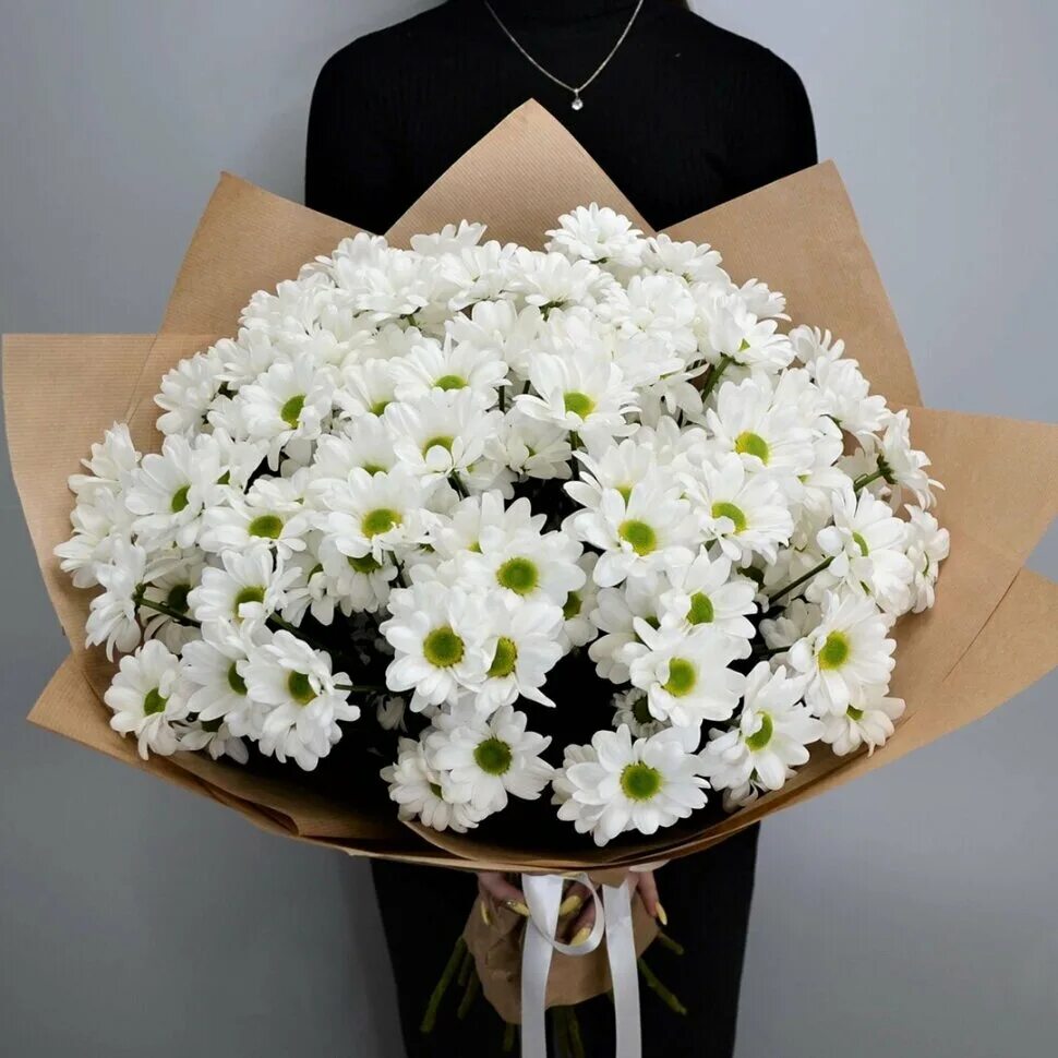 Хризантема бакарди букет. 15 белых кустовых хризантем букет. Хризантемы белые кустовые букет. Букет из 15 белых кустовых хризантем. Хризантема кустовая abbey.