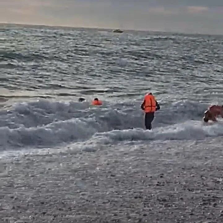 Спаслись в море. Спасение на море. Спасение людей на море. Спасатели спасли из моря.