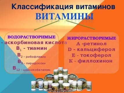 В1 жирорастворимый