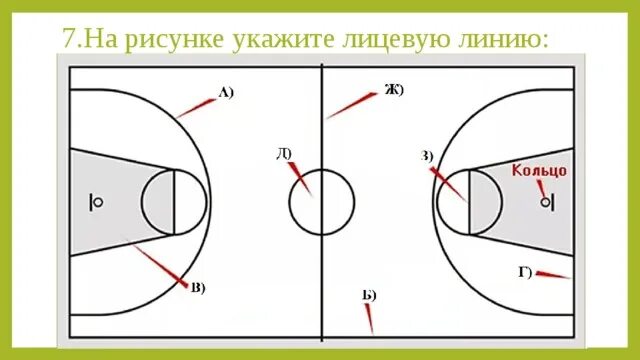 Центральный круг в баскетболе. Зоны в баскетболе. Зоны баскетбольной площадки. Укажите Размеры баскетбольной площадки:. Линии баскетбольной площадки с названиями.