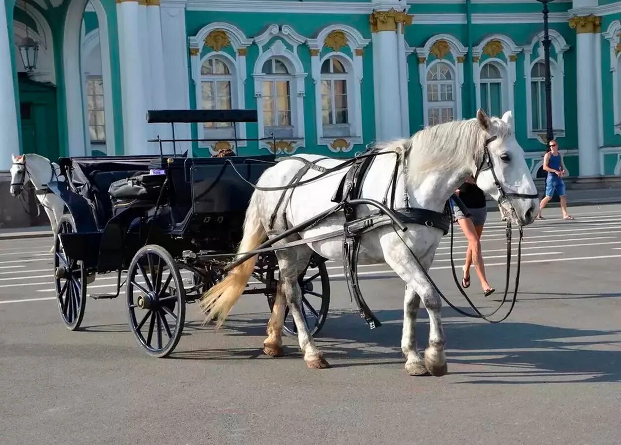 Повозка с лошадью. Карета с лошадью. Лошадь в городе. Колымага с лошадьми.