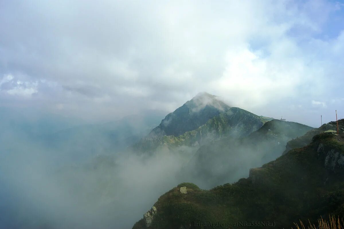 дыхание гор. горы дышат. картина дыхание гор. горы лес туман кавказ. дышит в горах.
