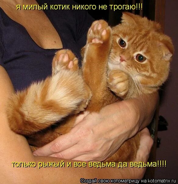 Девушка закрывает лицо от солнца. Милая ни. Милая ни. Милые котики. Иллюстратор виктория кирдий.