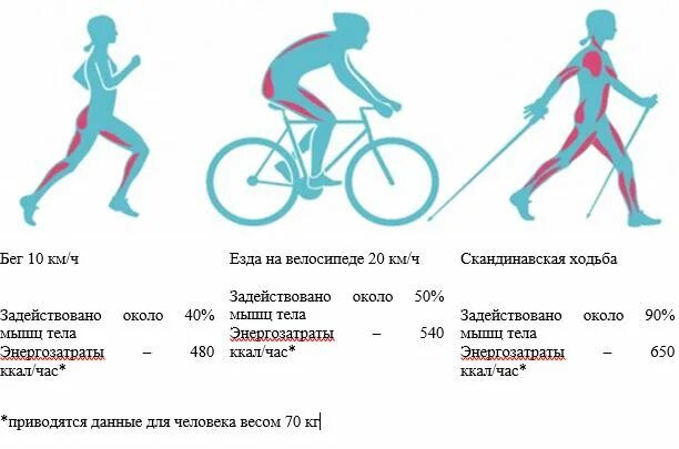 Прогулочная ходьба скорость. Средняя скорость ходьбы человека. Количество сжигаемых калорий при езде на велосипеде. Средняя скорость пробежки человека. Скорости на велосипеде.