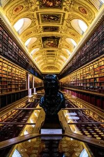Live library