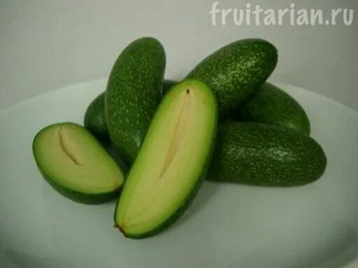 самый большой авокадо. авокадо без косточки. авокадо без косточки. авокадо маленькое без кости. помологические сорта авокадо.