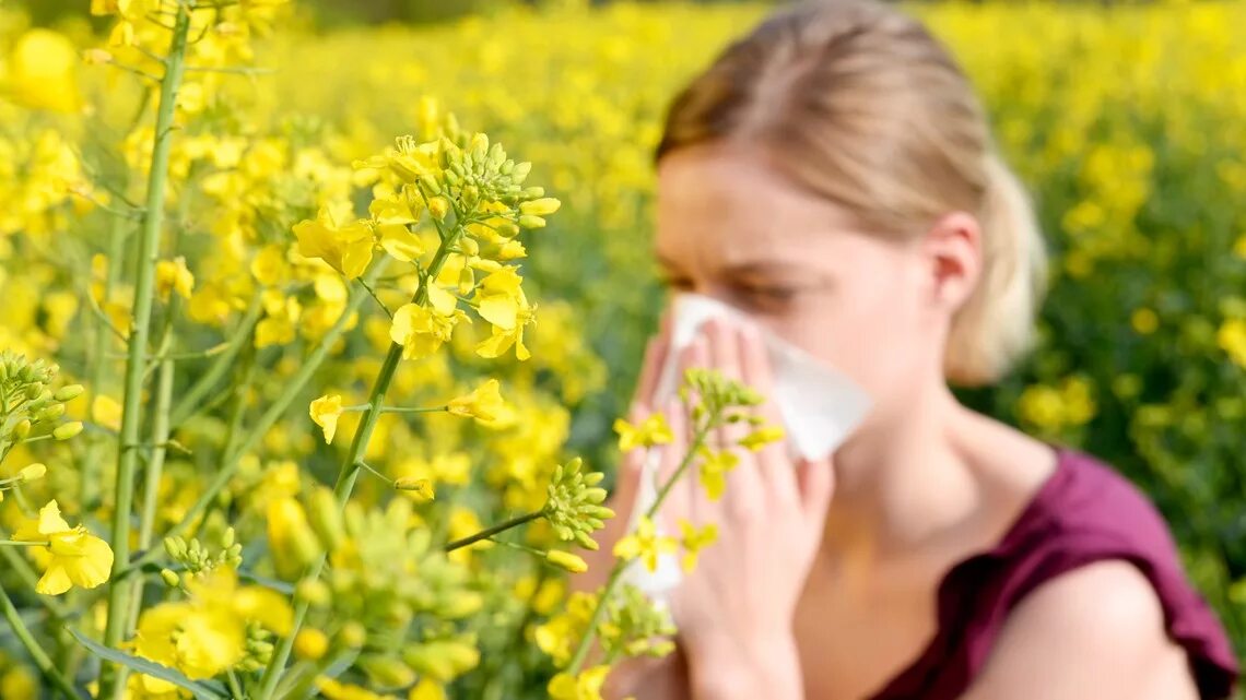 Аллергия на пыльцу. Сезонная аллергия. Осенний летний поллиноз. Пыльца сейчас
