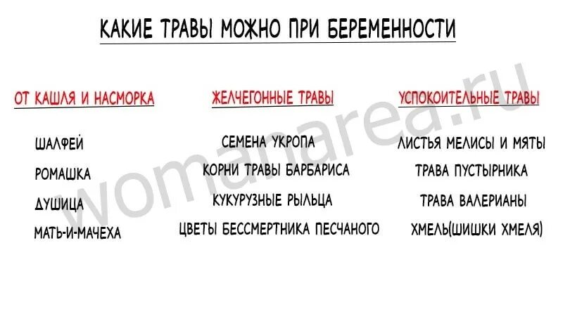 Травы для беременных. Растения, которые нельзя употреблять при беременно. Какие травы можно пить беременным. Какие травы можно пить беременным. Какие травы можно беременным.