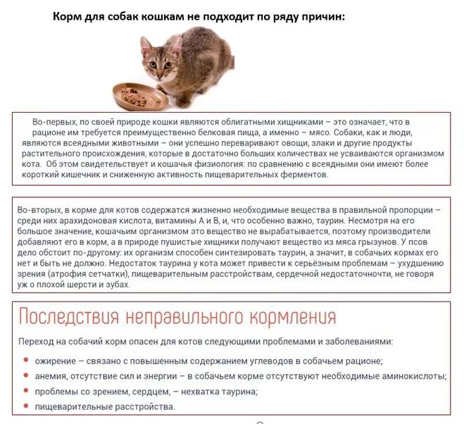 Активированный уголь аналоги. Активированный уголь детям 3 года дозировка. Активированный уголь при отра. Можно ли коту давать уголь. Шприц для таблетки коту.