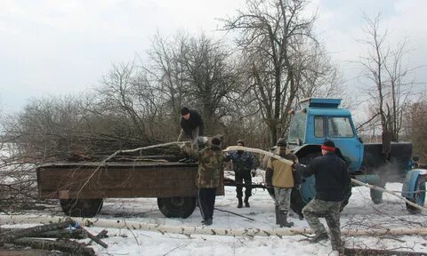 Брянская область сейчас