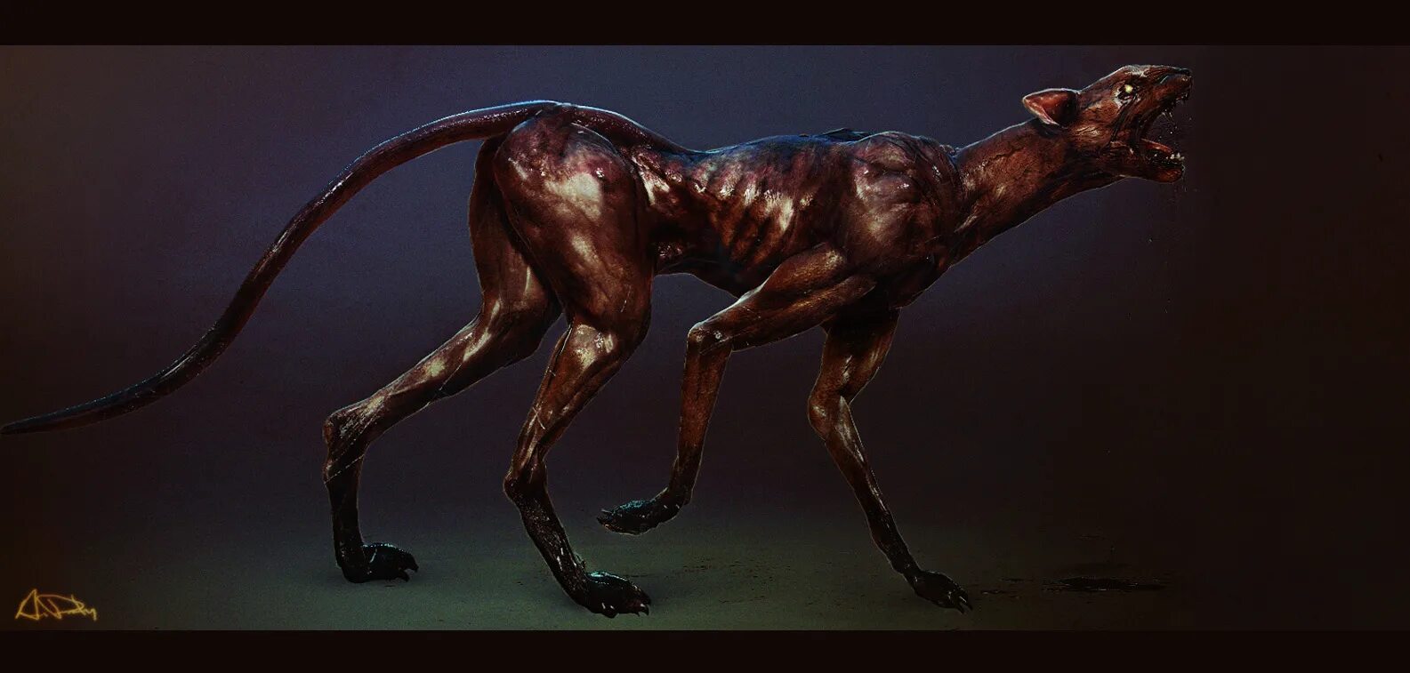 Чеширский кот алиса макги. Коты монстры видео. Сфинкс летучая мышь. Коты монстры видео. Коты монстры видео.