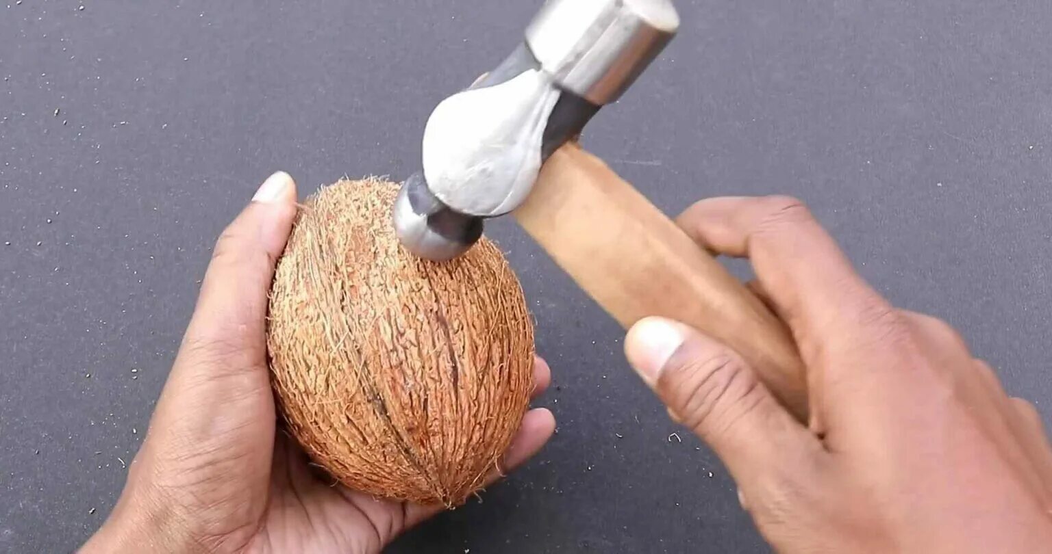 Разбить кокос. Как открыть кокос видео. Как открыть кокос видео. Поделки из кокосового ореха. Как вскрыть кокос.