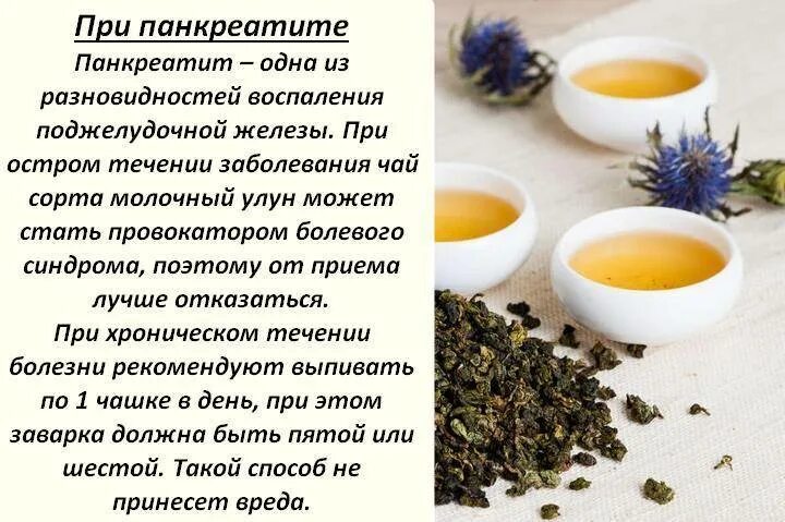 Можно ли чай при геморрое. Чай при заболеваниях поджелудочной железы. чай для поджелудочной панкреатит. зелёный чай можно пить при поджелудочной. панкреатит зеленый чай.