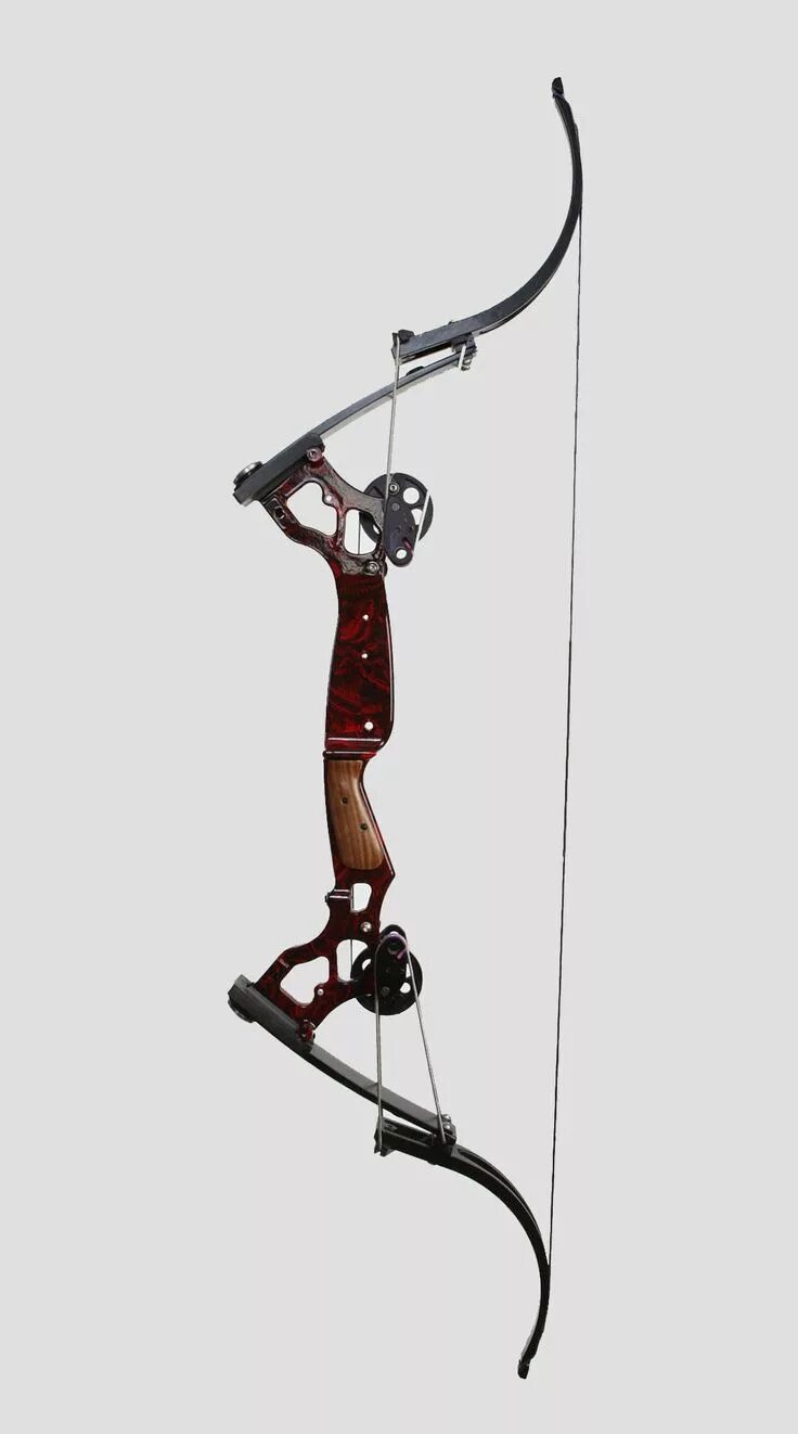 Archery Is the Sport of the Moment, and Here’s How to Get Started Archery, Survi