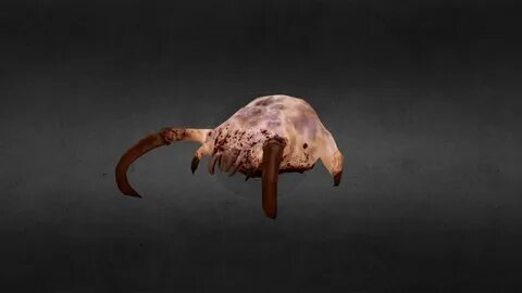 Half life 3d models