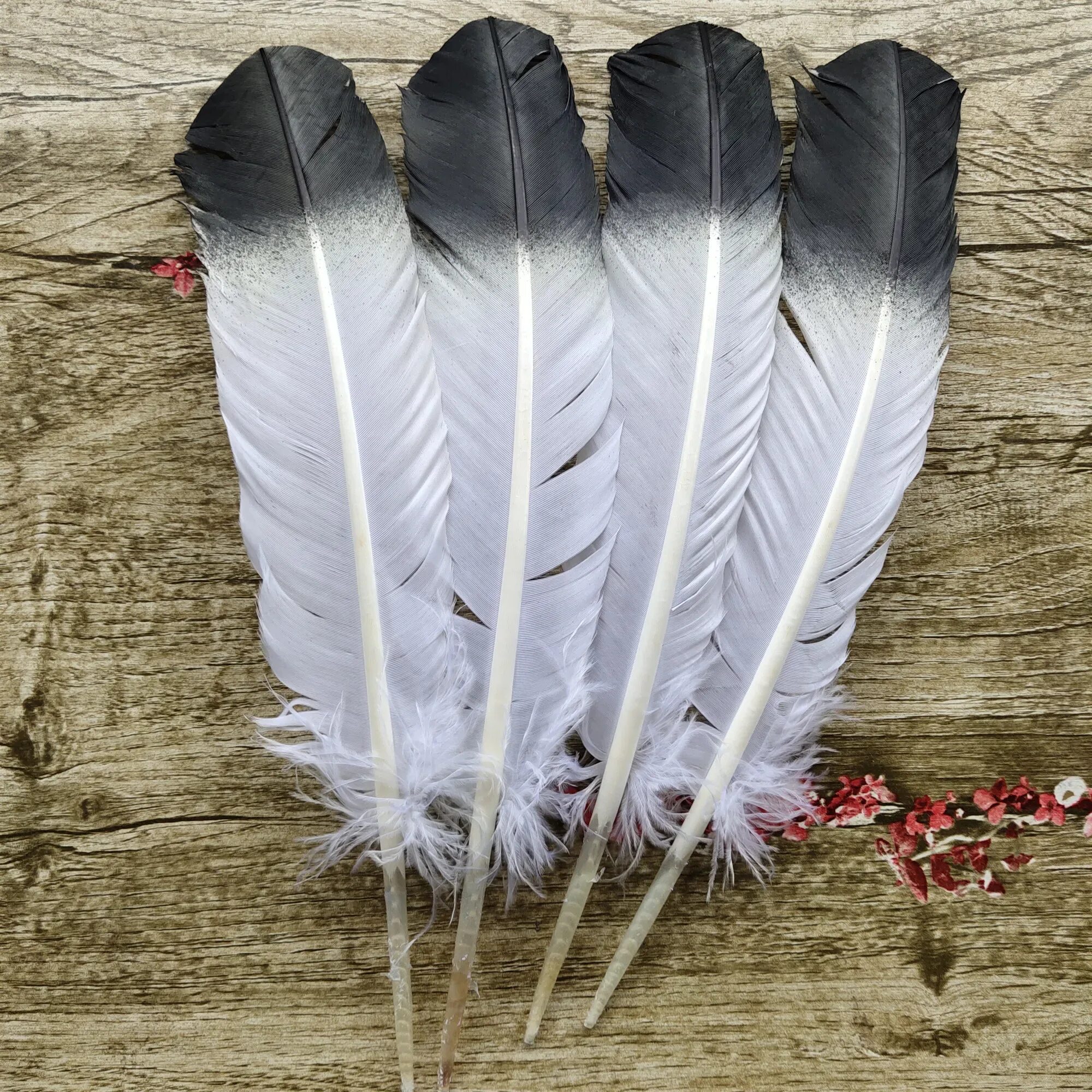 Feather 6