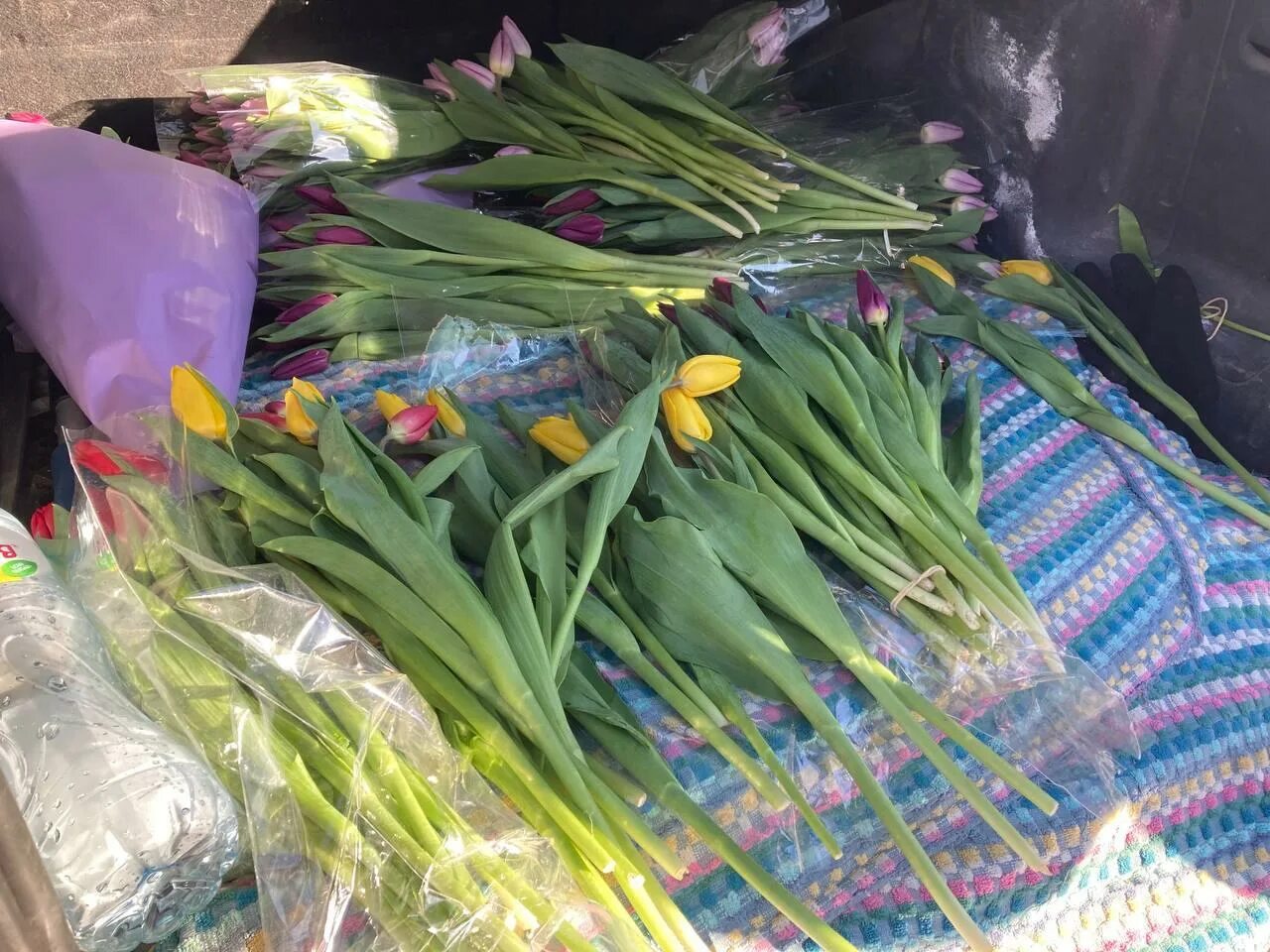 Сколько стоят тюльпаны в новосибирске. Тюльпаны 8. Март тюльпаны.