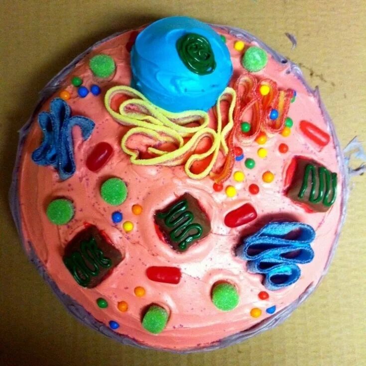 Cell project