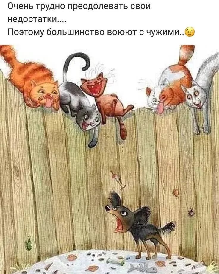 Найдите 3 мудрых зверей. Коты на заборе. Забавные картины. Кошка на заборе рисунок. Кот на заборе Графика.