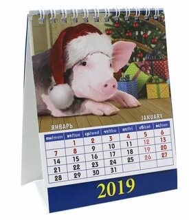 2019 год книги