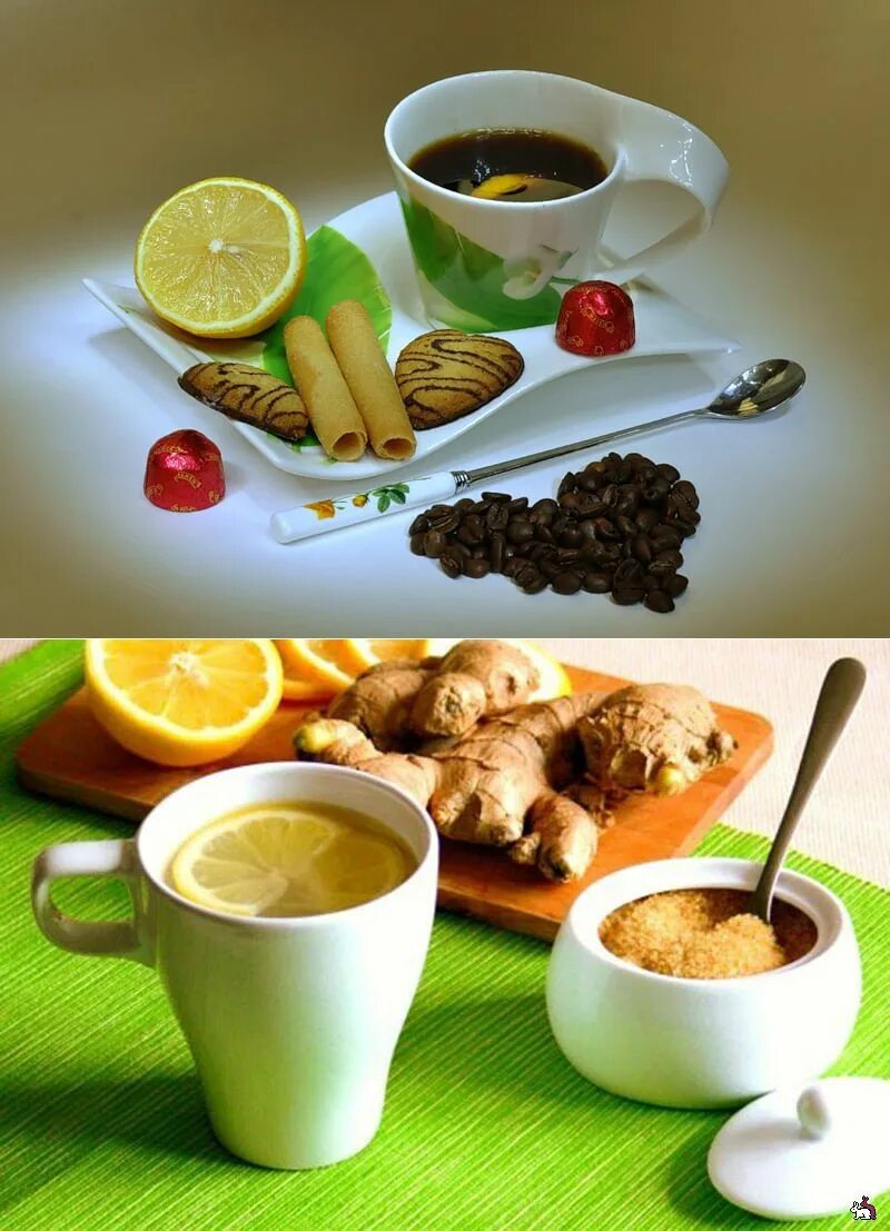 какой кофе с лимоном. романо кофе. эспрессо романо. кофе с молоком и лимоном. романо кофе.