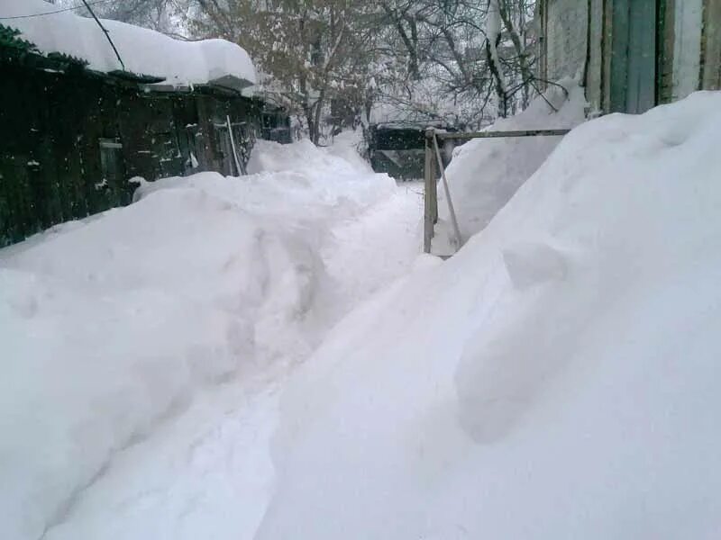 выпала много снега. выпала много снега. большая куча снега. огромные сугробы. много много снега выпало.