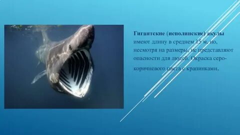 Слова исполинский