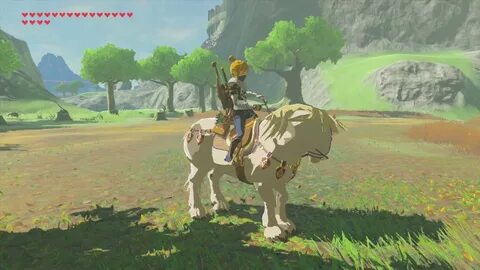 Zelda лошадь