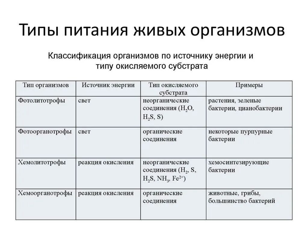 Какие различают по способу питания. Классификация типов питания организмов таблица. Типы питания биология. Краткая характеристика типов питания организмов. Характеристика типов питания организмов таблица.