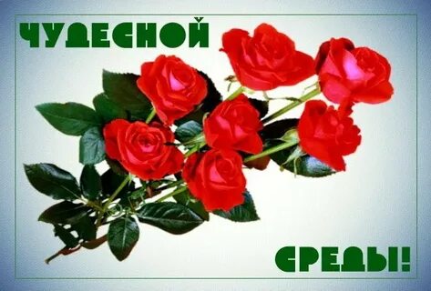 Открытка с доброй средой новые