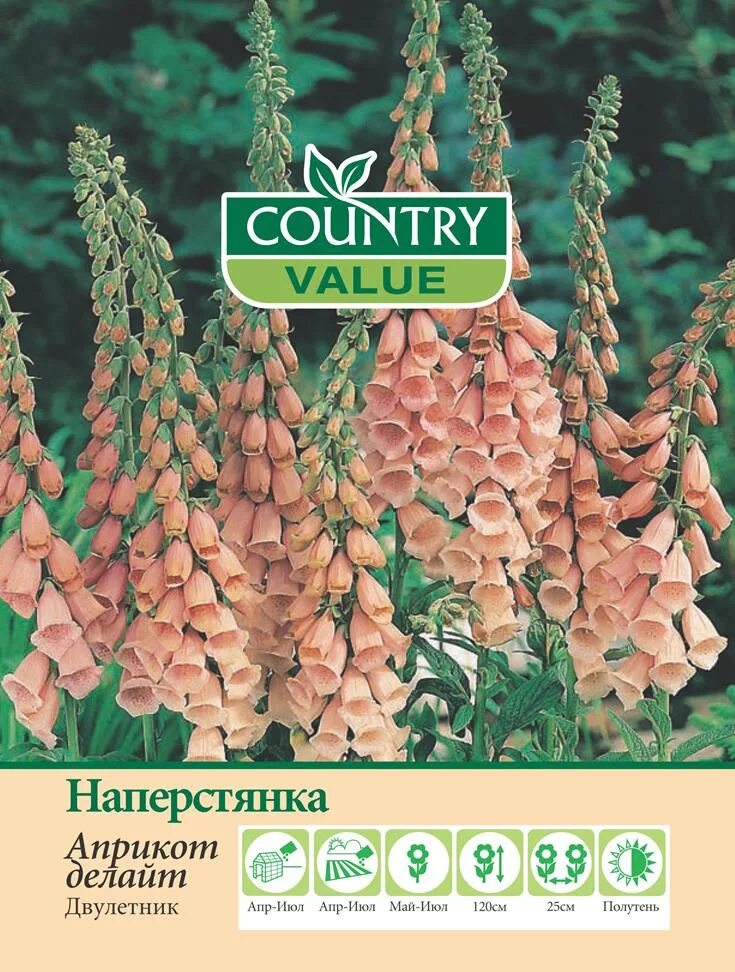 Country value. Наперстянка Априкот Делайт. Семена наперстянка пурпурная Априкот Делайт. Apricot Delight наперстянка. Наперстянка illumination Apricot.