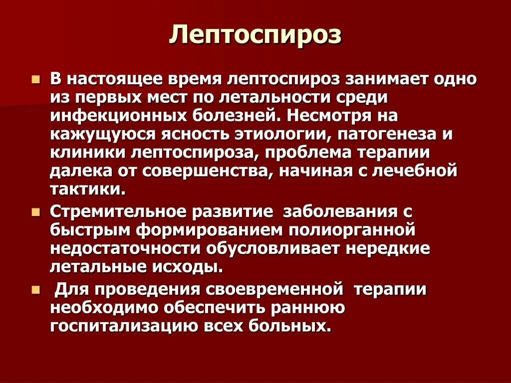 Признаки лептоспироза. Клинические синдромы лептоспироза. Клинические признаки лептоспироза.