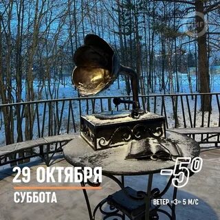 Утро 29