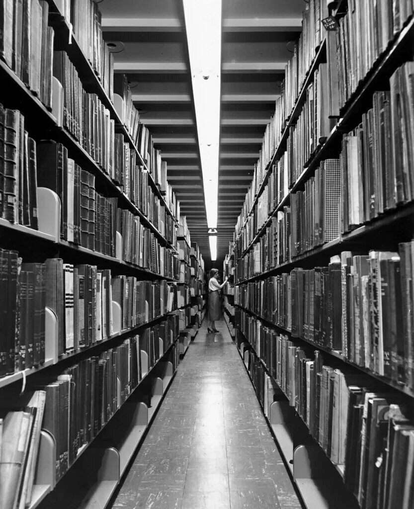 Effects library. Библиотека Цинциннати. Здание книга. The Library. Фон книги библиотека размытая.