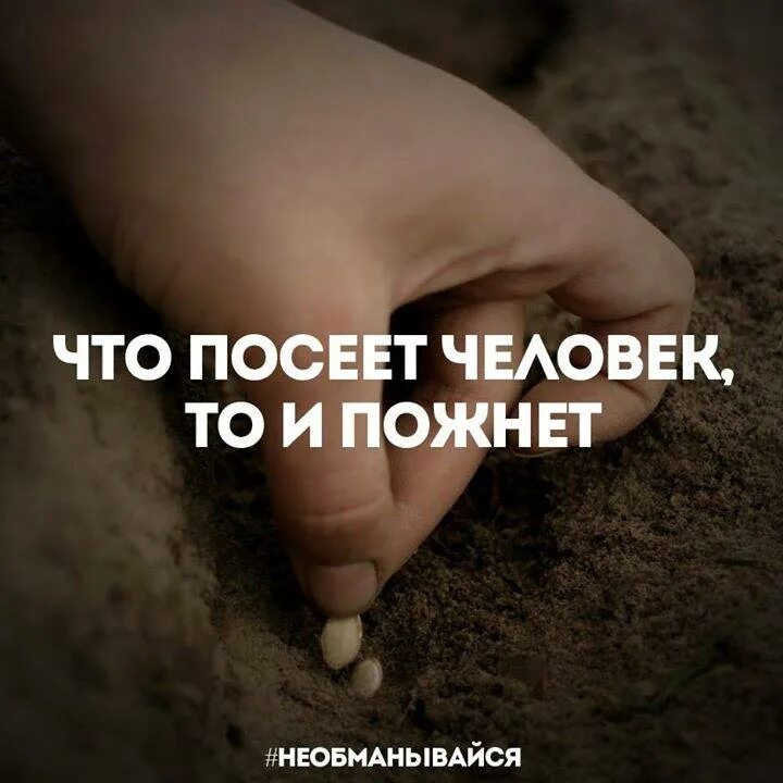 Что посеешь то и пожнешь что значит. Что посеет человек то и пожнет. что посеешь то и пожнешь цитаты. добро посеешь добро и пожнешь. цитати что посееш то пожмеш.