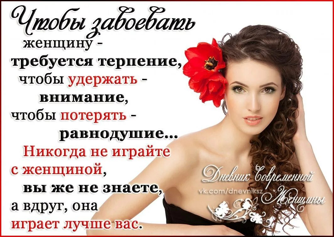Она лучше вас. Она лучше вас. Женщина это цитаты красивые. Завоевать женщину. Глупая жена.