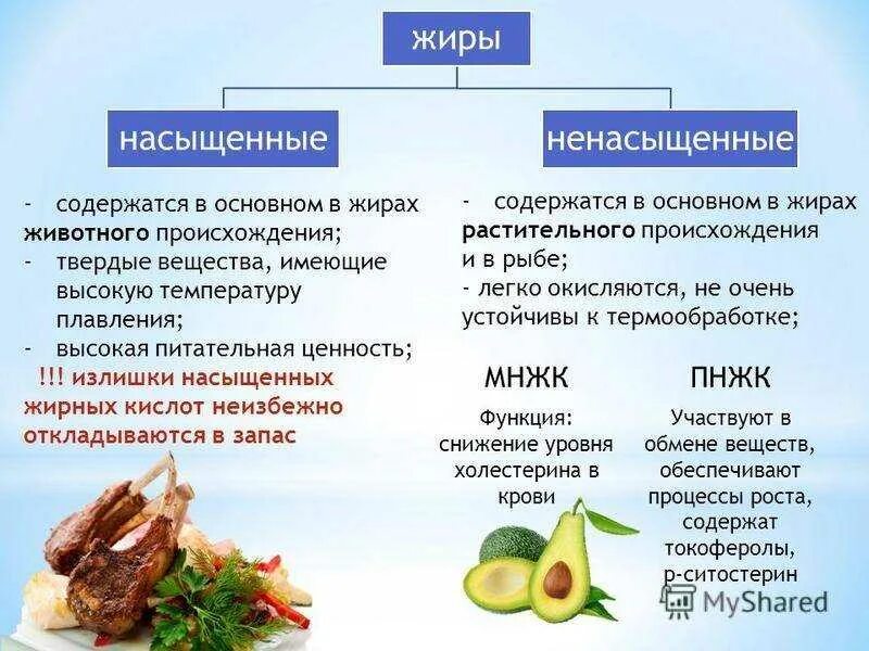 Жиры в питании. Жиры в продуктах. Польза жиров. Источники полезных жиров в продуктах. Насыщенные жиры.