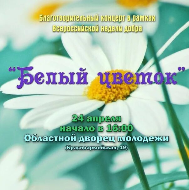 Белый концерт. Благотворительный концерт афиша. Концерт белый цветок. Концерт белый цветок. Белый цветок благотворительная акция.