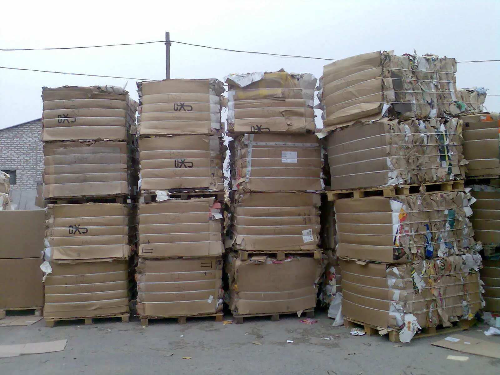 тонна макулатуры. тонна макулатуры. макулатура в классе для сдачи. пакеты вторсырье. 5 тонн переработанной бумаги.