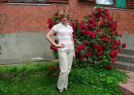 Аня ашимова сейчас