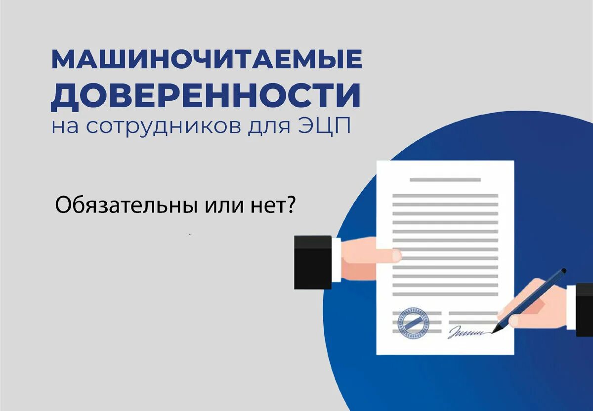 Как выглядит мчд. Как выглядит мчд