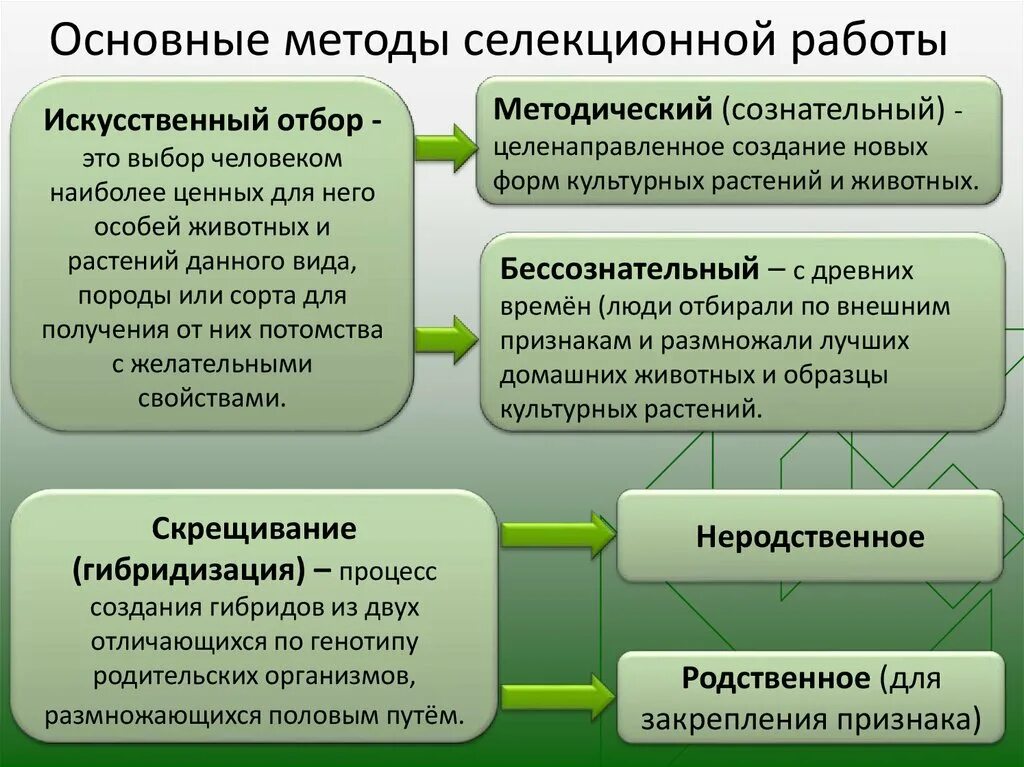 Какие методы используются в селекционной работе. Основные методы селекционной работы. основы генетики и селекции таблица. основные селекции организмов. основные методы селекции и биотехнологии.