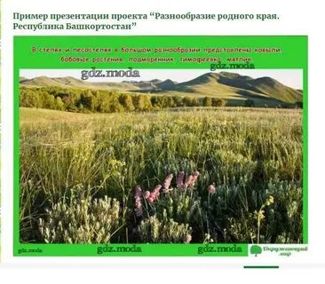 Презентация растения родного края