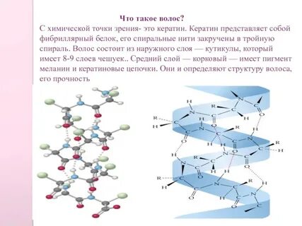 Кератиновые белки