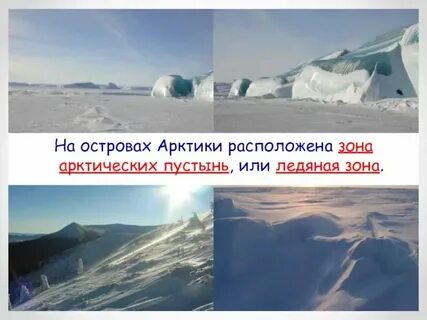 Острова зоны арктических пустынь